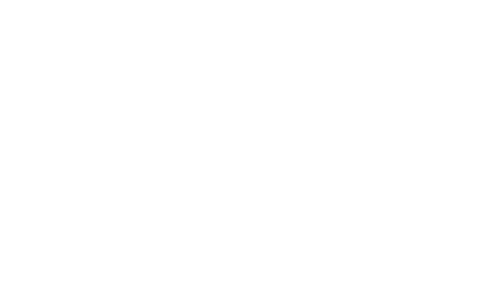 FST-logo